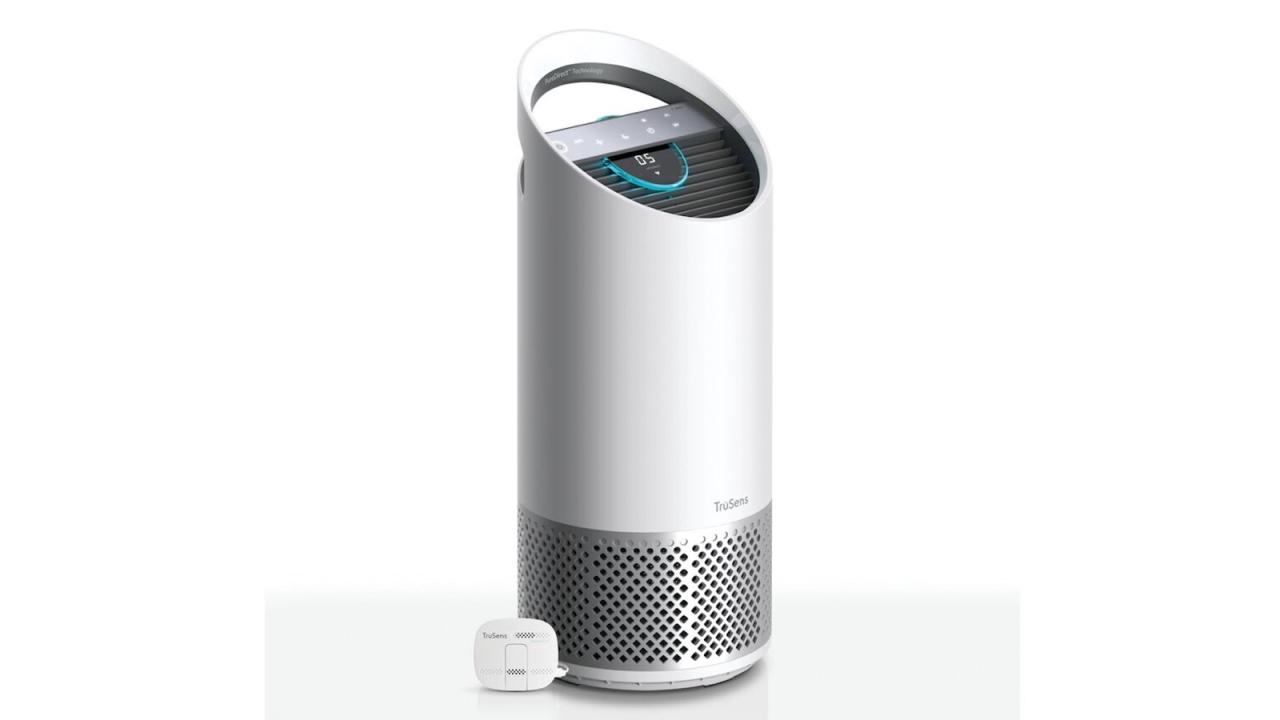 The Best Air Purifiers for Cigarette Smoke in 2024 Xievo